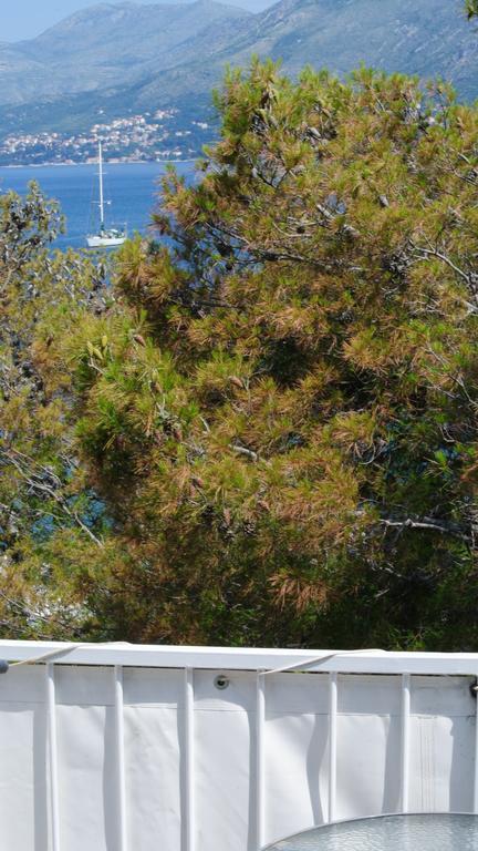 Apartments Boras 2 Cavtat Zewnętrze zdjęcie